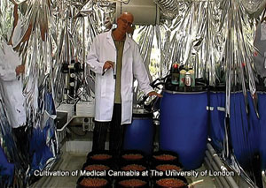 Grow Room - pH Buffering